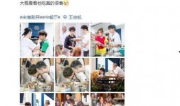 台湾小凯爆料视频大全最新,揭秘娱乐圈幕后真相