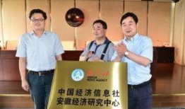 安徽经济爆料最新消息,揭秘最新产业布局与增长亮点