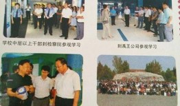 爆料禹城事件最新进展,真相逐步浮出水面