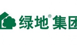 绿地爆料最新消息今天视频,今日热点事件深度解析”